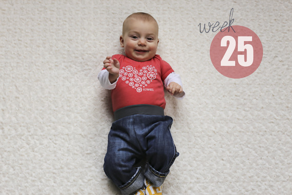Weekly Baby Picture / Week 25