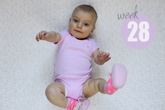 Weekly Baby Picture / Week 28